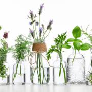 Corinne Brossier,magnetiseur guerissseur,energeticienne psycho-corporelle,magnetiseur,magnetiseuse,guérisseur,guérisseuse,psycho-energetique,naturapathie,Paris,IDF,Val-d'Oise,L'Isle-Adam,accompagnement énergétique,séance magnétisme,stress,guidance