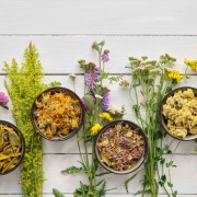 Corinne Brossier,magnetiseur guerissseur traditionnel,energeticienne psycho-corporelle,magnetiseur,magnetiseuse,guérisseur,guérisseuse,psycho-energetique,naturapathie,Paris,IDF,Val-d'Oise,L'Isle-Adam,accompagnement énergétique,stress,guidance