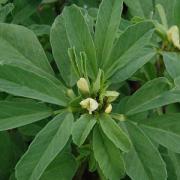 Corinne Brossier,magnetiseur guerissseur,energeticienne psycho-corporelle,magnetiseur,magnetiseuse,guérisseur,guérisseuse,psycho-energetique,naturapathie,Paris,IDF,Val-d'Oise,L'Isle-Adam,accompagnement énergétique,séance magnétisme,stress,guidance