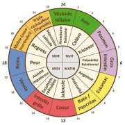 Corinne Brossier,magnetiseur guerissseur,energeticienne psycho-corporelle,magnetiseur,magnetiseuse,guérisseur,guérisseuse,psycho-energetique,naturapathie,Paris,IDF,Val-d'Oise,L'Isle-Adam,accompagnement énergétique,séance magnétisme,stress,guidance