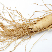 Corinne Brossier,magnetiseur guerissseur,energeticienne psycho-corporelle,magnetiseur,magnetiseuse,guérisseur,guérisseuse,psycho-energetique,naturapathie,Paris,IDF,Val-d'Oise,L'Isle-Adam,accompagnement énergétique,séance magnétisme,stress,guidance