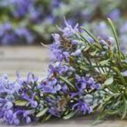 Corinne Brossier,magnetiseur guerissseur traditionnel,energeticienne psycho-corporelle,magnetiseur,magnetiseuse,guérisseur,guérisseuse,psycho-energetique,naturapathie,Paris,IDF,Val-d'Oise,L'Isle-Adam,accompagnement énergétique,stress,guidance