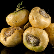 Corinne Brossier,magnetiseur guerissseur,energeticienne psycho-corporelle,magnetiseur,magnetiseuse,guérisseur,guérisseuse,psycho-energetique,naturapathie,Paris,IDF,Val-d'Oise,L'Isle-Adam,accompagnement énergétique,séance magnétisme,stress,guidance