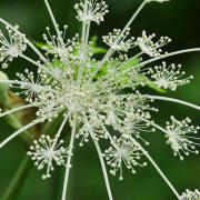 Corinne Brossier,magnetiseur guerissseur,energeticienne psycho-corporelle,magnetiseur,magnetiseuse,guérisseur,guérisseuse,psycho-energetique,naturapathie,Paris,IDF,Val-d'Oise,L'Isle-Adam,accompagnement énergétique,séance magnétisme,stress,guidance