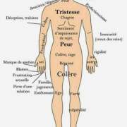 Corinne Brossier,magnetiseur guerissseur,energeticienne psycho-corporelle,magnetiseur,magnetiseuse,guérisseur,guérisseuse,psycho-energetique,naturapathie,Paris,IDF,Val-d'Oise,L'Isle-Adam,accompagnement énergétique,séance magnétisme,stress,guidance