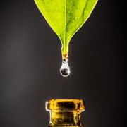 Corinne Brossier,magnetiseur guerissseur,energeticienne psycho-corporelle,magnetiseur,magnetiseuse,guérisseur,guérisseuse,psycho-energetique,naturapathie,Paris,IDF,Val-d'Oise,L'Isle-Adam,accompagnement énergétique,séance magnétisme,stress,guidance