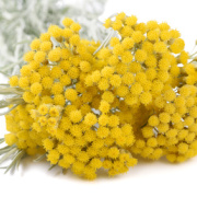 Corinne Brossier,magnetiseur guerissseur,energeticienne psycho-corporelle,magnetiseur,magnetiseuse,guérisseur,guérisseuse,psycho-energetique,naturapathie,Paris,IDF,Val-d'Oise,L'Isle-Adam,accompagnement énergétique,séance magnétisme,stress,guidance