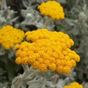 Corinne Brossier,magnetiseur guerissseur traditionnel,energeticienne psycho-corporelle,magnetiseur,magnetiseuse,guérisseur,guérisseuse,psycho-energetique,naturapathie,Paris,IDF,Val-d'Oise,L'Isle-Adam,accompagnement énergétique,stress,guidance
