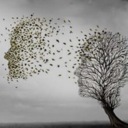 Corinne Brossier,magnetiseur guerissseur traditionnel,energeticienne psycho-corporelle,magnetiseur,magnetiseuse,guérisseur,guérisseuse,psycho-energetique,naturapathie,Paris,IDF,Val-d'Oise,L'Isle-Adam,accompagnement énergétique,stress,guidance