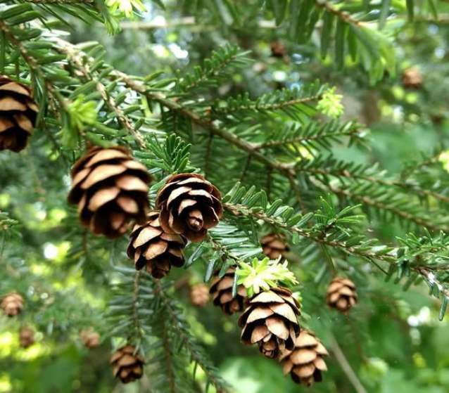 Corinne Brossier, Accompagnements énergétiques et holistiques,magnetiseur,coupeur de feu,zccompagnement psycho-corporelle,thérapie énergétique,magnetiseur,magnetiseuse,psycho-energetique,naturopathie,Paris,IDF,Val-d'Oise,L'Isle-Adam 95290,accompagnement énergétique,séance magnétisme,stress,burn-out, 95,magnetiseur avis témoignages,guerisseur avis témoignages,corinne brossier avis témoignages,relaxation 95,guidance,coupeur de feu,devenir magnetiseur,couper le feu,soulager le stress,soulager les douleurs,soigner,apaiser,reequilibrer,liberer les énergies,soulager les tensions,auto-guerison,purification,thérapie energétique,maux de tete,barreur de feu,techniques energétiques,guidance,voyance,médium,tarot,oracle